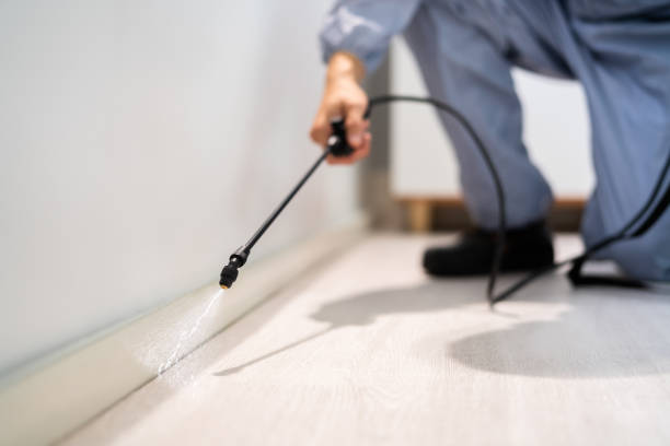 Licensed Exterminator service in Thornton, IL - Show Me Pest Control