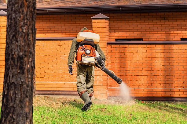 Top rated local Wasp Removal specialists in Thornton, IL